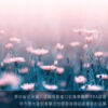 【November 8】香水 佛手柑烏木-木質調：圖片 9