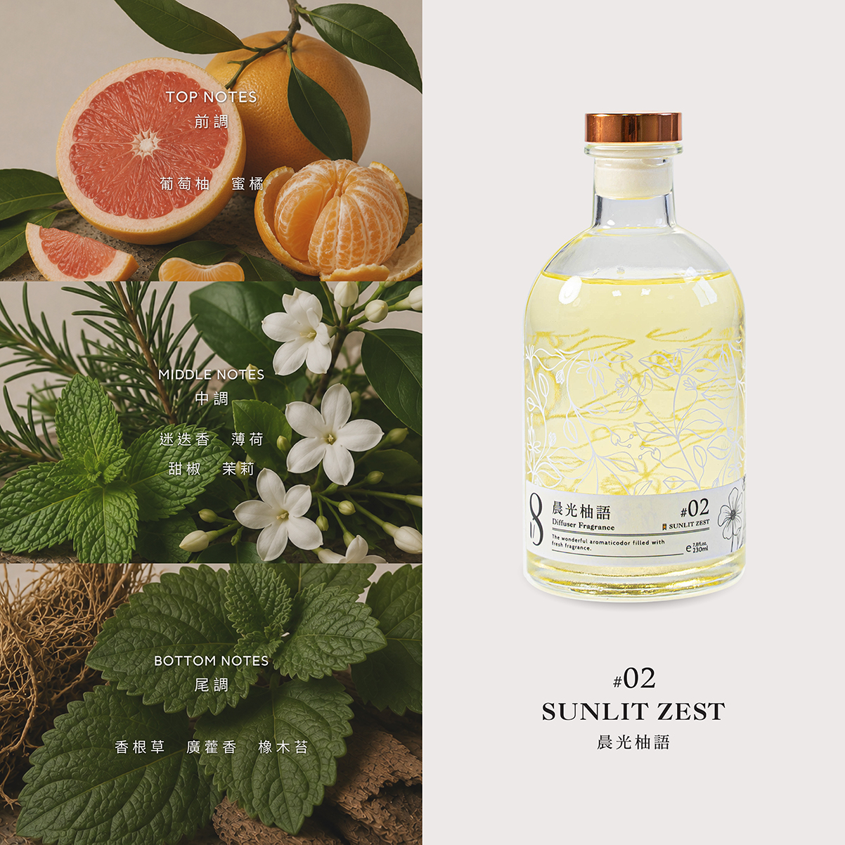 【November 8】SUNLIT ZEST 晨光柚語
