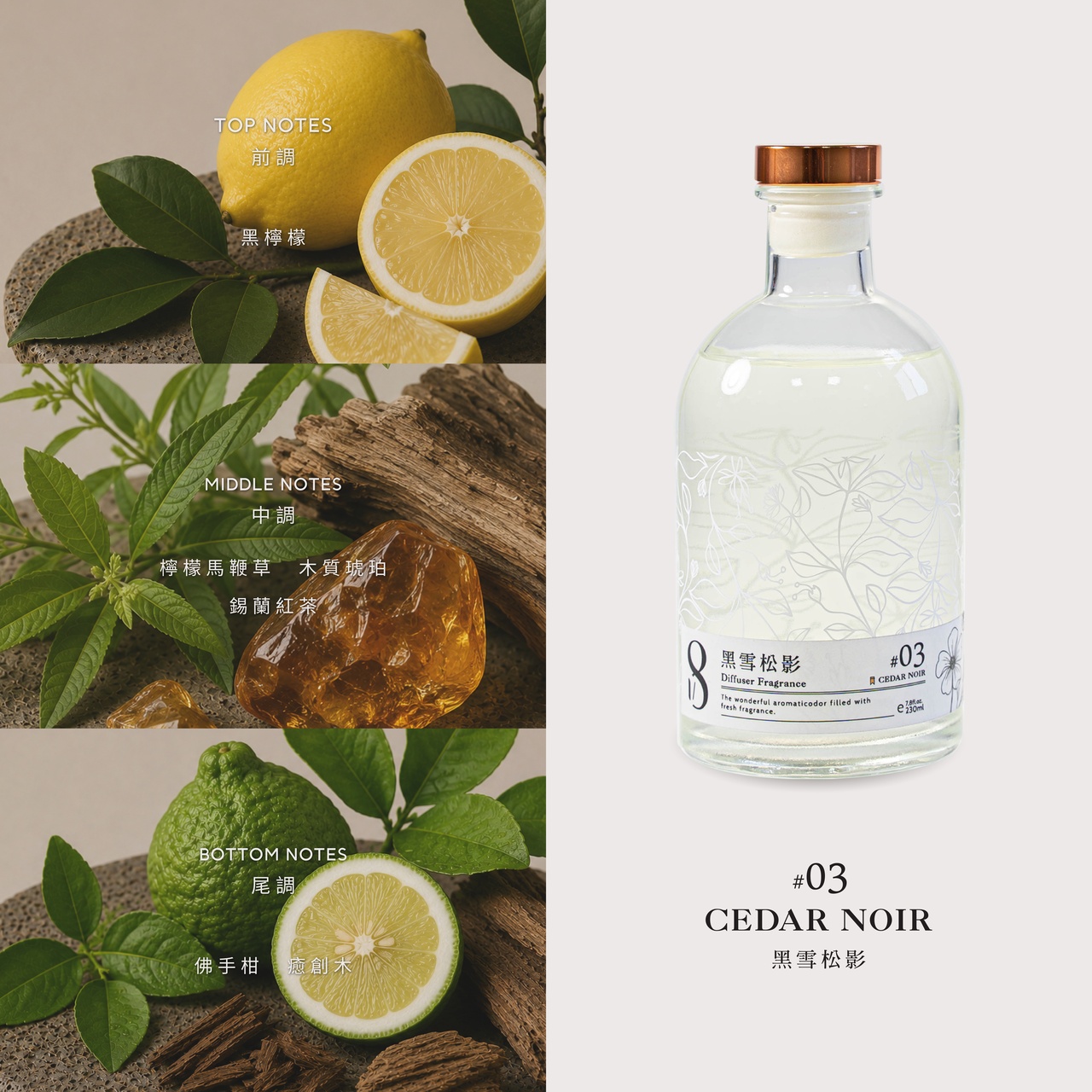 【November 8】CEDAR NOIR 黑雪松影